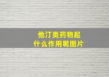 他汀类药物起什么作用呢图片