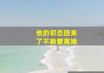 他的初恋回来了不断要离婚