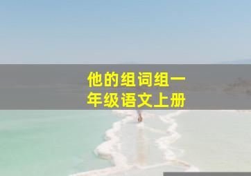 他的组词组一年级语文上册