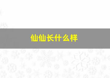 仙仙长什么样