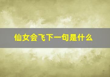 仙女会飞下一句是什么