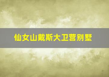 仙女山戴斯大卫营别墅