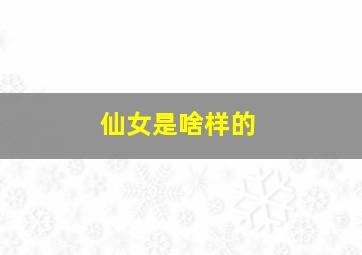 仙女是啥样的