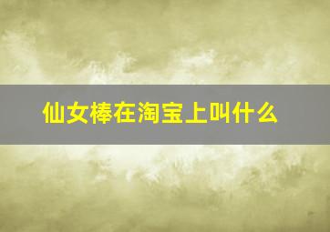 仙女棒在淘宝上叫什么