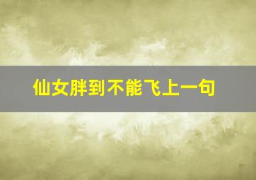 仙女胖到不能飞上一句