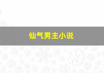 仙气男主小说