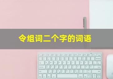 令组词二个字的词语