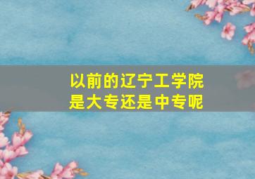 以前的辽宁工学院是大专还是中专呢