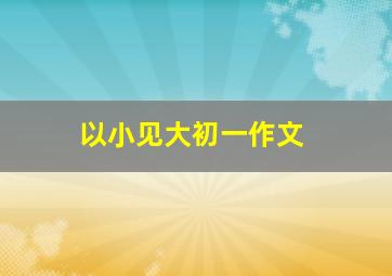 以小见大初一作文