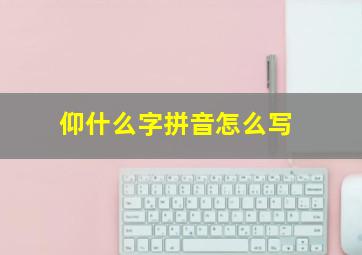 仰什么字拼音怎么写