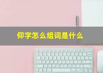 仰字怎么组词是什么