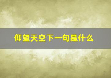 仰望天空下一句是什么