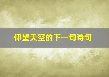 仰望天空的下一句诗句