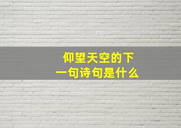 仰望天空的下一句诗句是什么