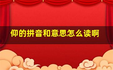 仰的拼音和意思怎么读啊