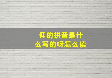 仰的拼音是什么写的呀怎么读