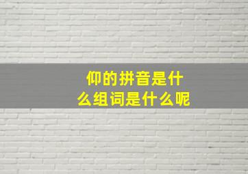 仰的拼音是什么组词是什么呢