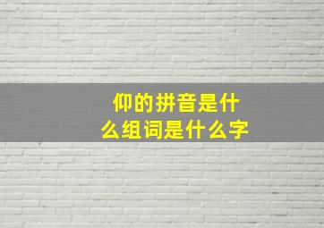 仰的拼音是什么组词是什么字