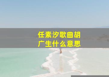 任素汐歌曲胡广生什么意思