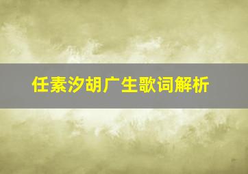 任素汐胡广生歌词解析