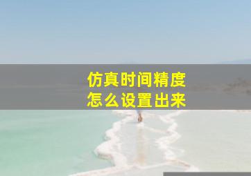 仿真时间精度怎么设置出来