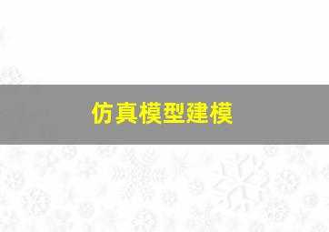 仿真模型建模