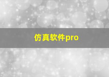 仿真软件pro