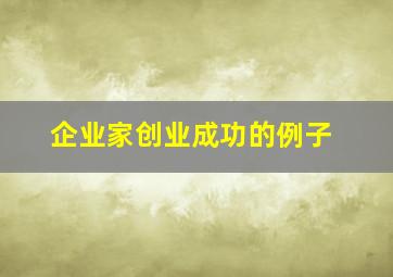 企业家创业成功的例子