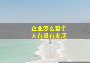 企业怎么查个人有没有案底