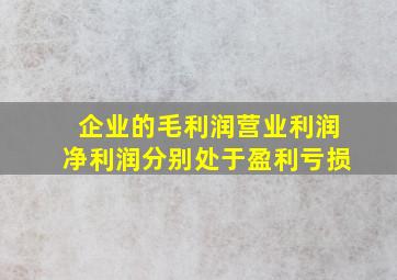 企业的毛利润营业利润净利润分别处于盈利亏损