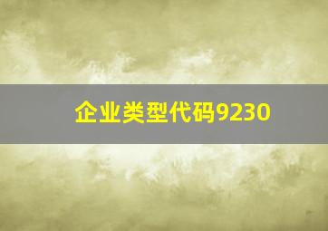 企业类型代码9230