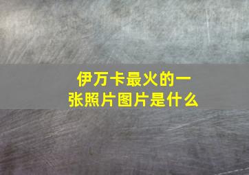 伊万卡最火的一张照片图片是什么