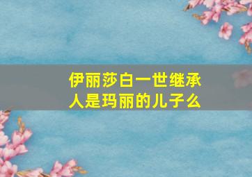 伊丽莎白一世继承人是玛丽的儿子么