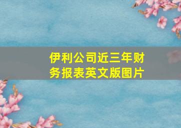 伊利公司近三年财务报表英文版图片