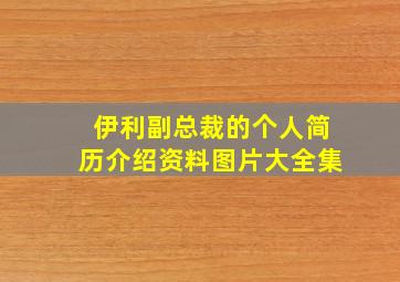 伊利副总裁的个人简历介绍资料图片大全集