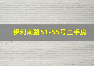 伊利南路51-55号二手房