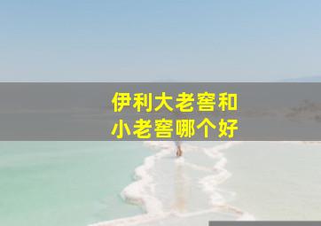 伊利大老窖和小老窖哪个好