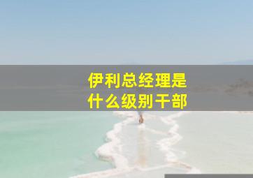 伊利总经理是什么级别干部