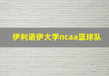 伊利诺伊大学ncaa篮球队