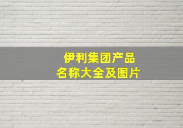 伊利集团产品名称大全及图片