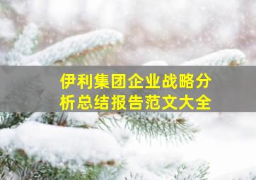 伊利集团企业战略分析总结报告范文大全