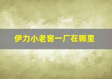 伊力小老窖一厂在哪里