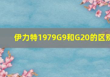 伊力特1979G9和G20的区别