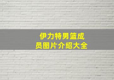 伊力特男篮成员图片介绍大全