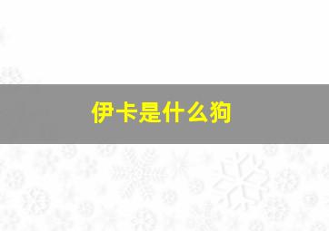 伊卡是什么狗