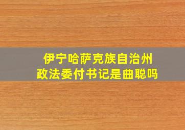 伊宁哈萨克族自治州政法委付书记是曲聪吗