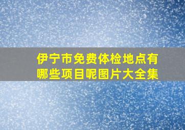 伊宁市免费体检地点有哪些项目呢图片大全集