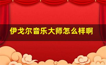 伊戈尔音乐大师怎么样啊