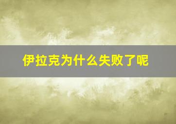 伊拉克为什么失败了呢