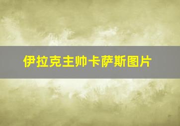 伊拉克主帅卡萨斯图片